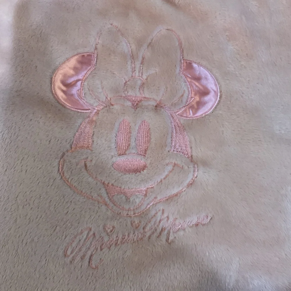 Disney minnie features